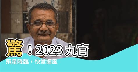 九官飛星2023